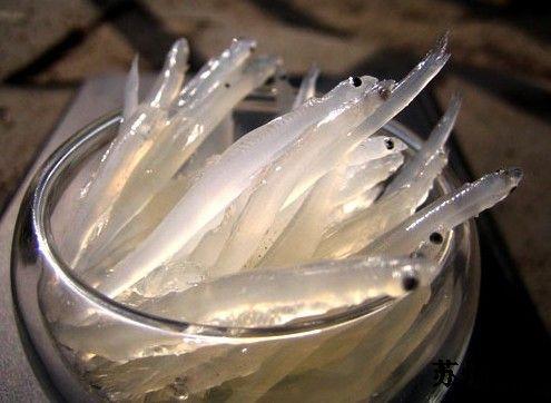 苏州东山免费景区游玩攻略,苏州东山三日游攻略