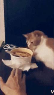 日本小哥吃零食,日本小哥吃垃圾食品