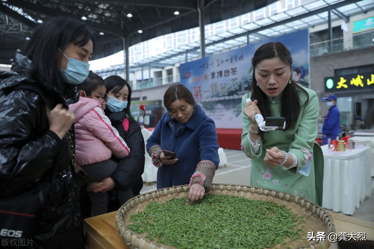 蒙顶山上茶的诗词,蒙顶山上茶什么意思