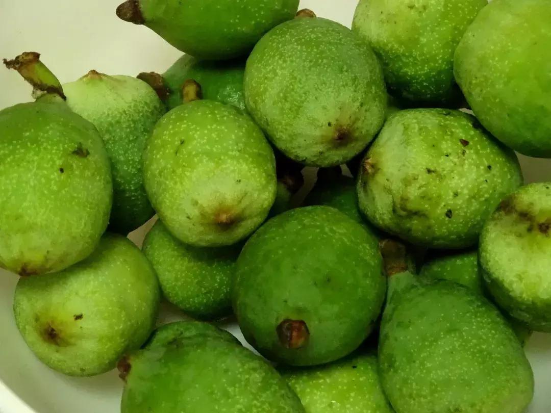 盛夏，一起品薜荔之文化，尝木莲之美味