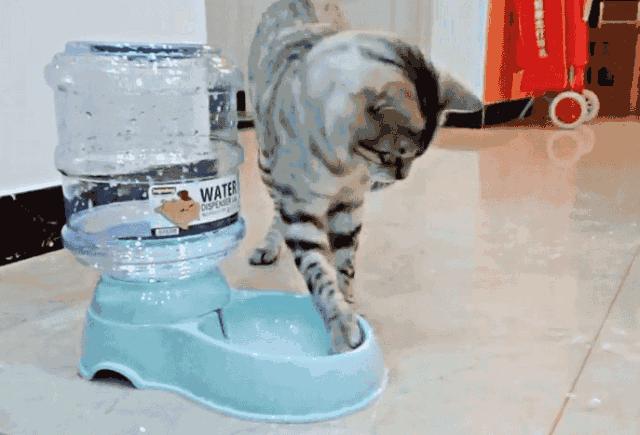 塑料瓶对我们生活有哪些危害,塑料瓶在太阳底下暴晒会致癌吗