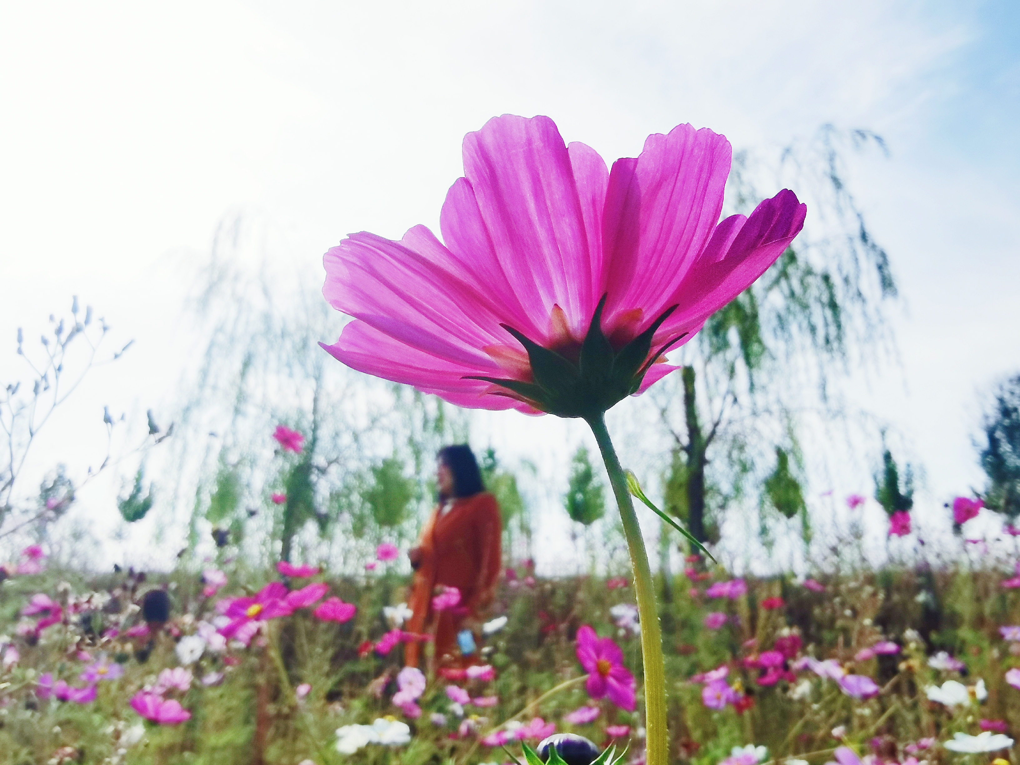 荆山旅游景点大全,荆山美景