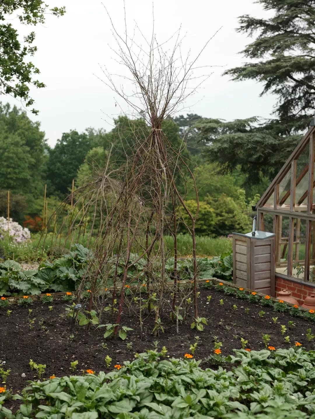 建一座完全不打药的生态花园,所有生命在这里和谐共处,值得收藏