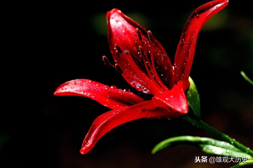 牛啊，写诗也能骂人，这十首讽刺意味的诗歌，第六首发人深省