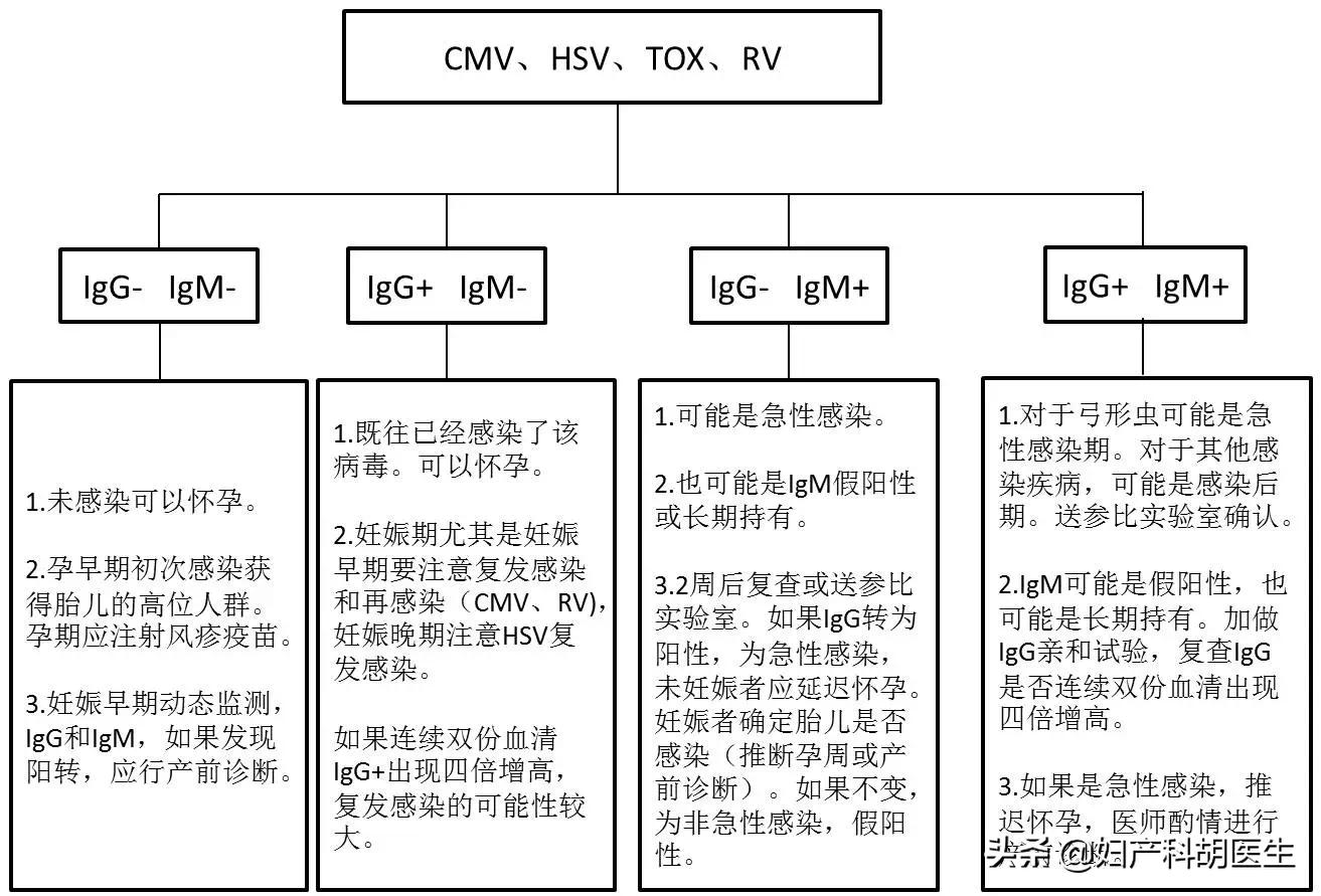 怀孕多久做nt这项检查什么意思,怀孕期间哪些检查是必须要做的