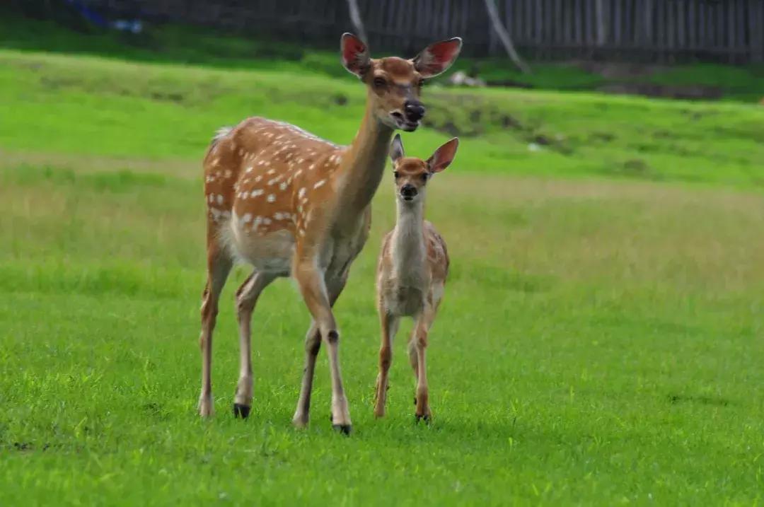 几个闺蜜自驾游的视频,一群闺蜜旅行视频