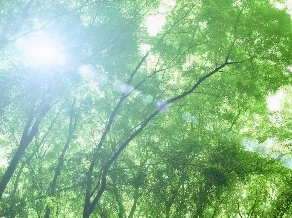 孩子患抽动症十年治疗经验漫谈,孩子有抽动症家长要崩溃了