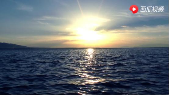 歌诗达协和号邮轮船长,西瓜视频事件来龙去脉