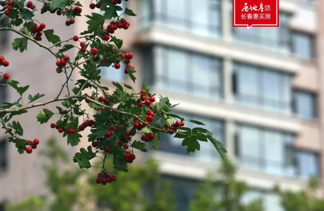 轨交次新房，楼道没有酸菜缸，这是唯一能跑赢大盘的二手房