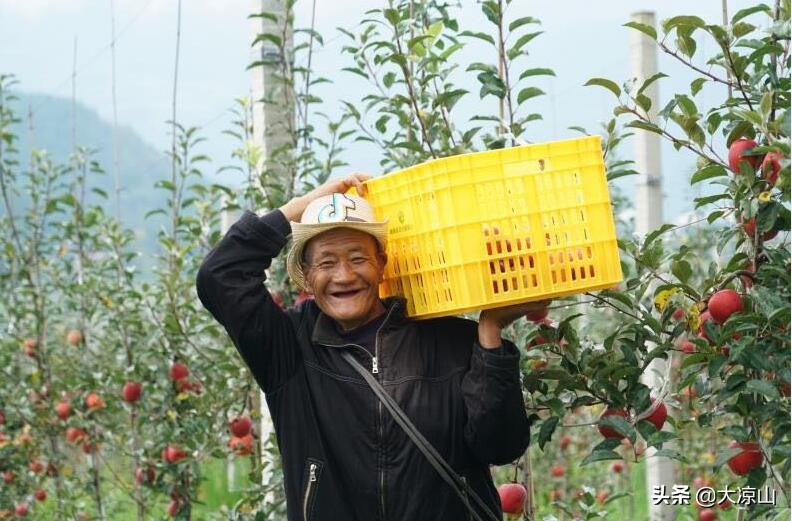 越西搬家,越西回家过年