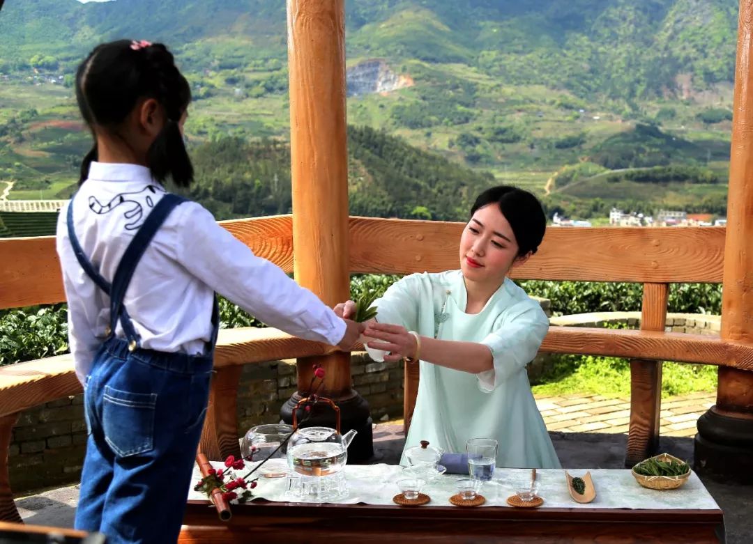 武夷山原产茶叶带您品好茶,武夷山生态好茶