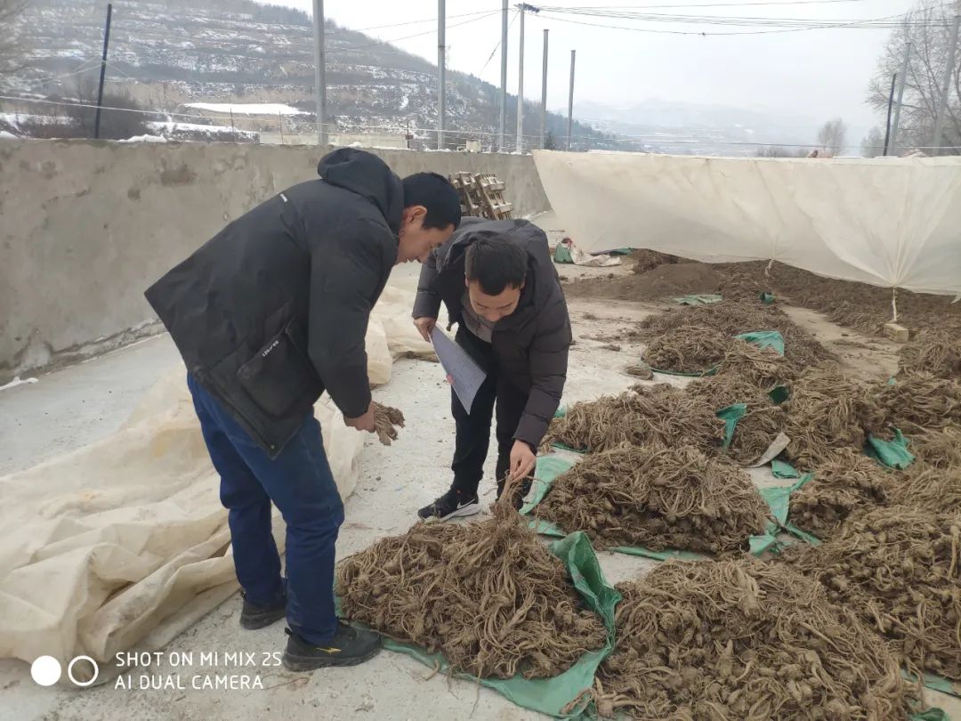 漳州漳县大棚电商,漳州市漳县电商网点