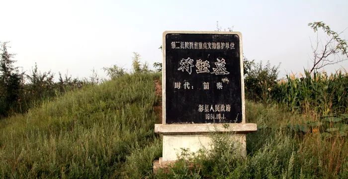 「莽莽十六国」性情中人苻坚的喜与悲