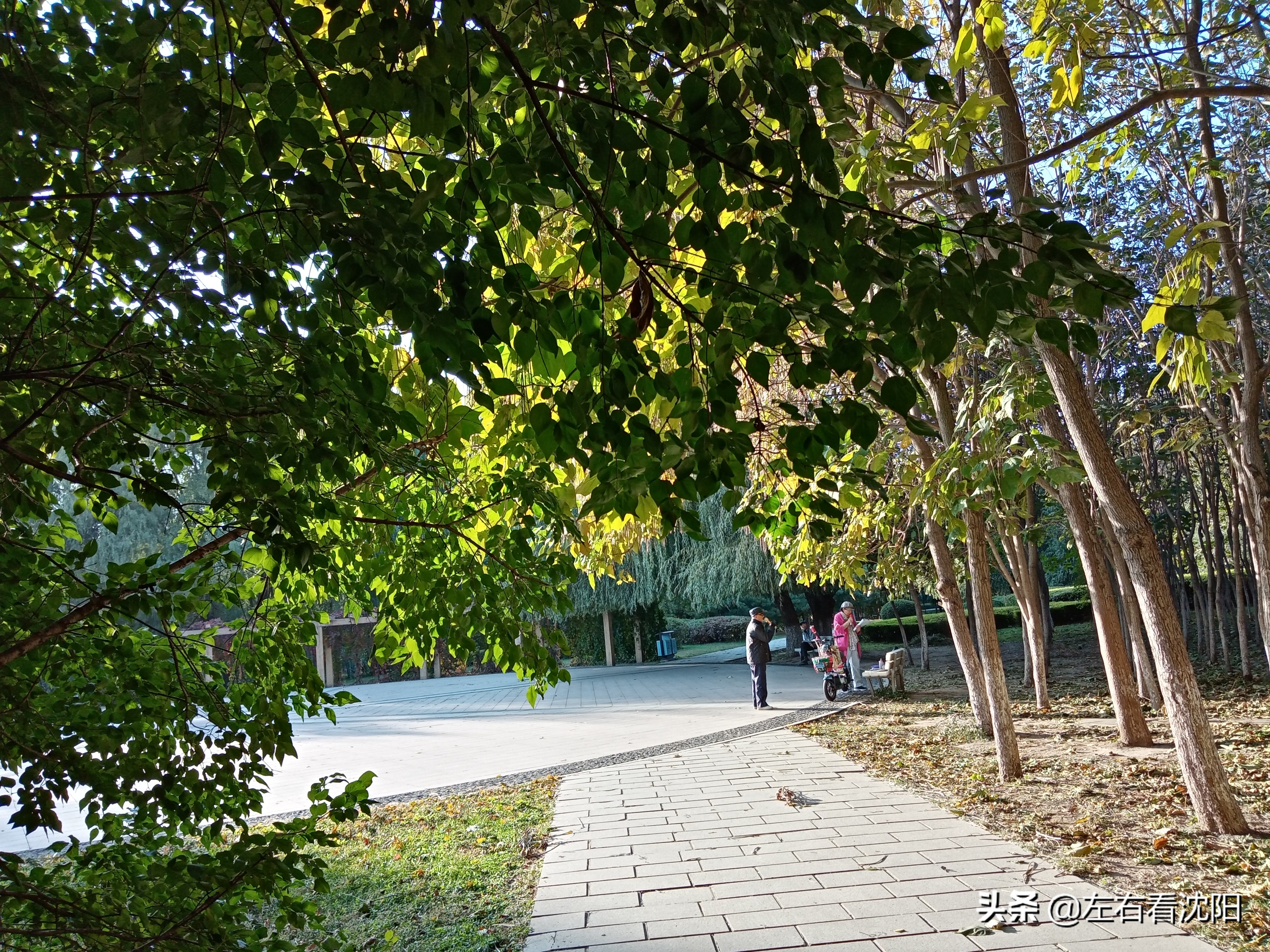 沈阳沈水湾公园看日出,沈阳浑河看海的地方