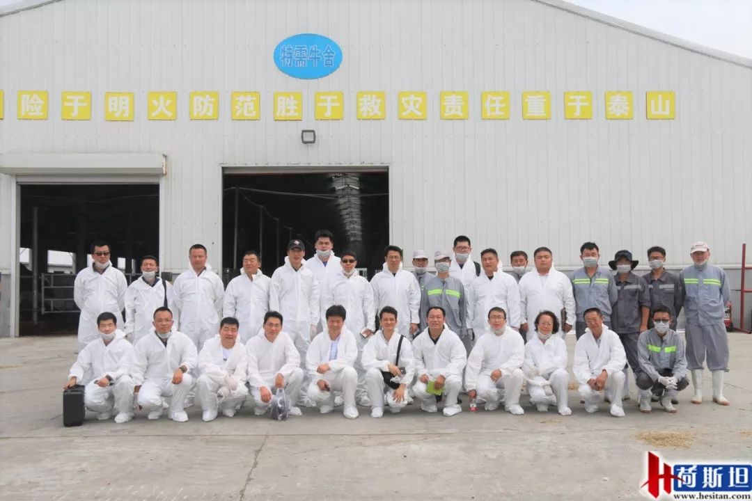 数字化奶牛养殖技术,大型奶牛场繁育新技术