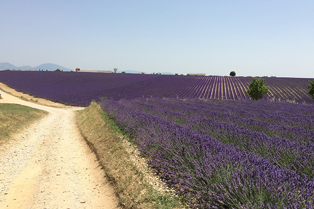世界十大著名旅游景点排行榜,世界著名100个旅游景点旅游攻略