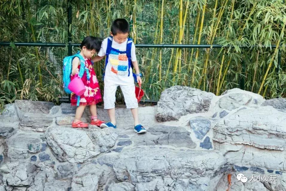 海边带娃旅游必备物品,带娃旅行必备好物