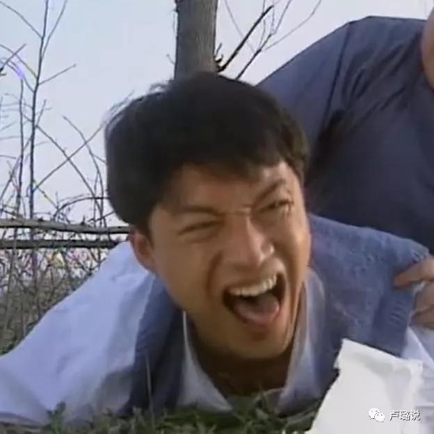 萧蔷林青霞,林青霞刘雪华年轻时谁美