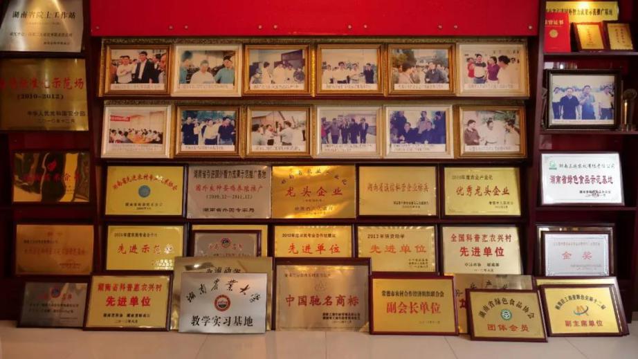 湖南饲料大王:辞去铁饭碗创业,如今公司年产值超4亿