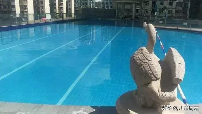 深圳游泳培训班哪家最好,深圳哪里有游泳培训班