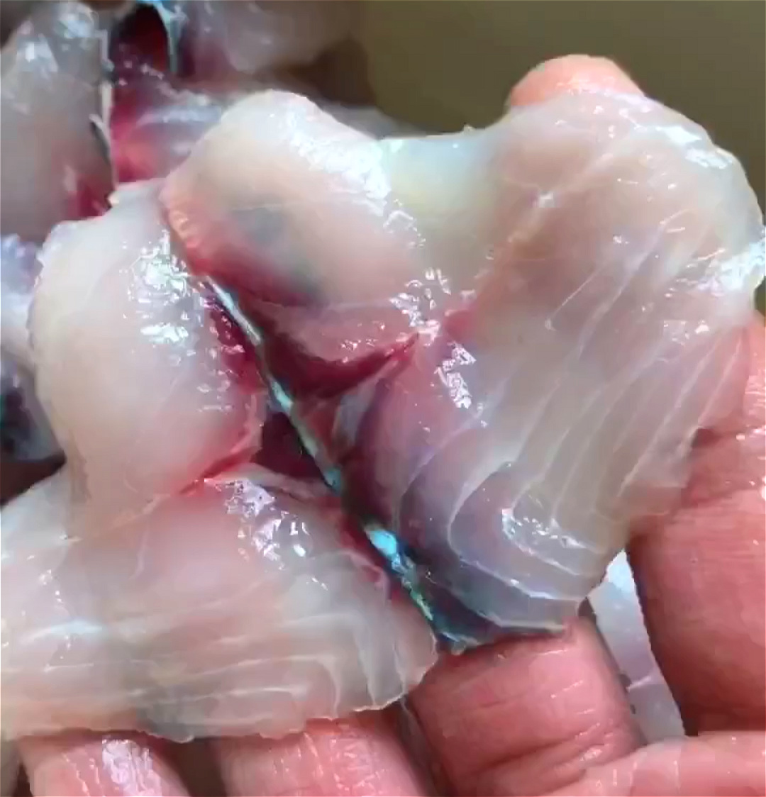鱼片怎么又滑又嫩又不碎,鱼片怎么弄不老