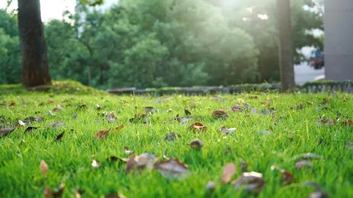 保研夏令营优秀营员就稳了吗,保研夏令营上岸