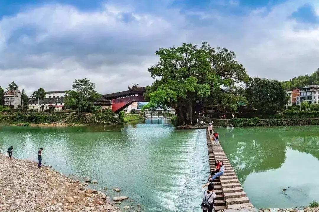 温州下周交通管制,温州市区道路封闭时间