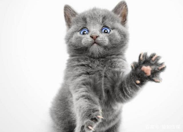 如何认识广告效果好坏,广告效果怎么样