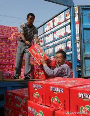 做果蔬批发要注意什么,果蔬批发好做还是零售好做