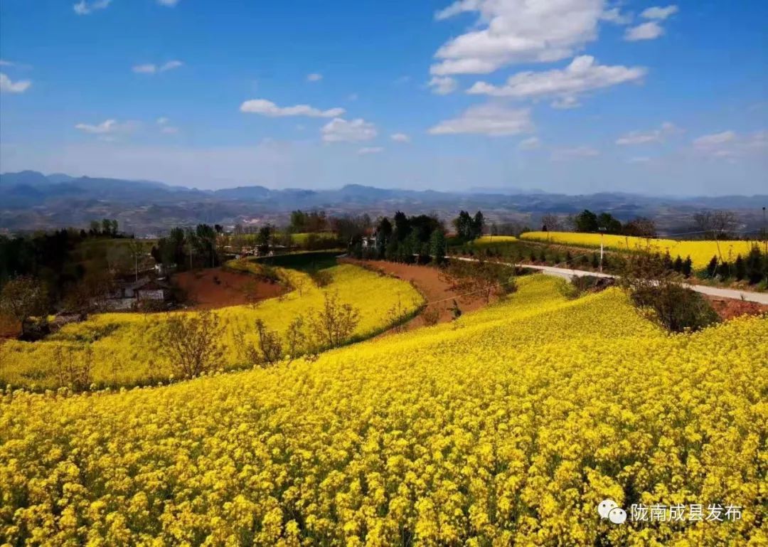 我叫成县，这是我2019年的自拍照~