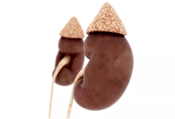 小孩小便有泡沫是不是肾有问题,尿尿小泡沫一直不消失是肾问题吗