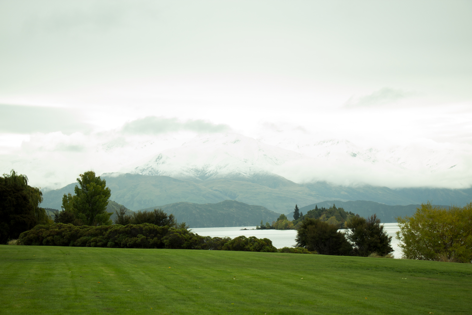 新西兰旅游必备大牌礼物,新西兰旅行攻略完整详细版