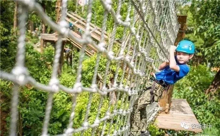 大龄休闲农庄有哪些,做休闲农庄必须考虑的几个问题