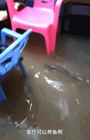 广州的人素质怎么样,广州人有什么特色