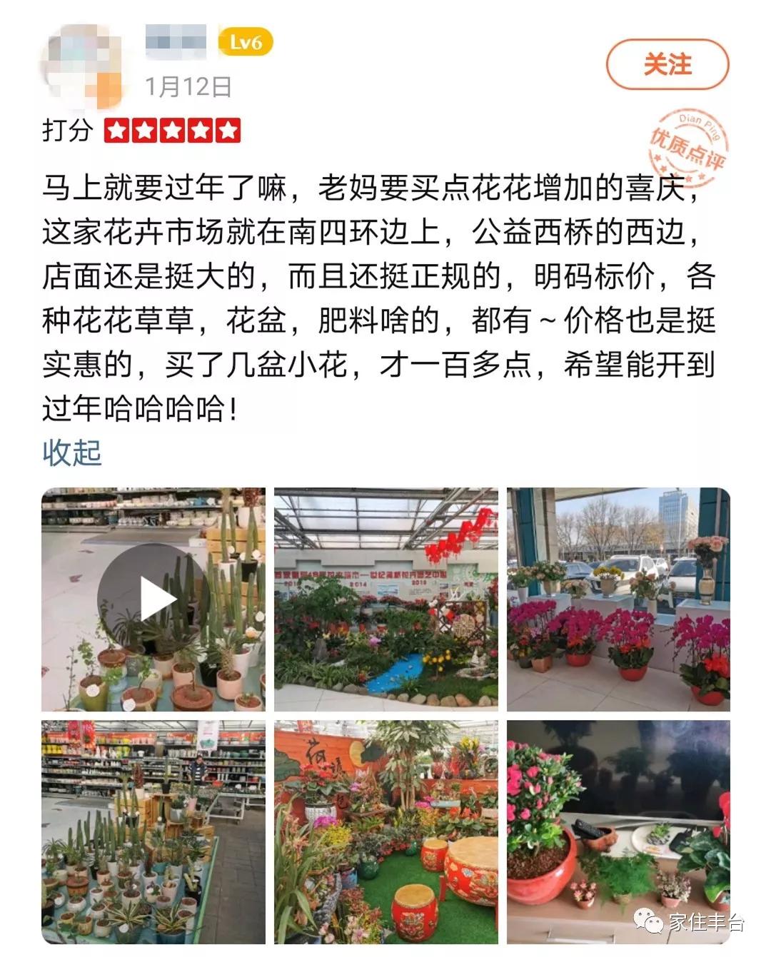 小编整理！丰台四大花市逛买攻略！春节就要这喜庆劲儿