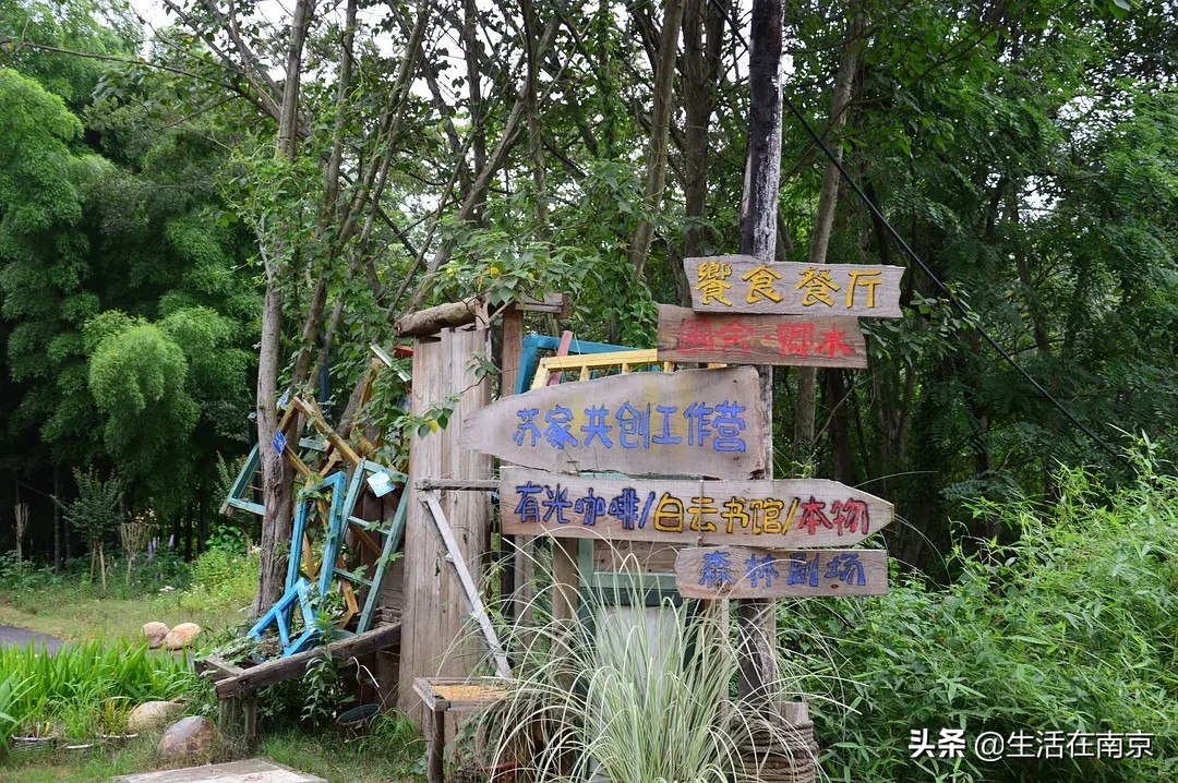 2019年南京美丽乡村游,南京周边美丽乡村游推荐