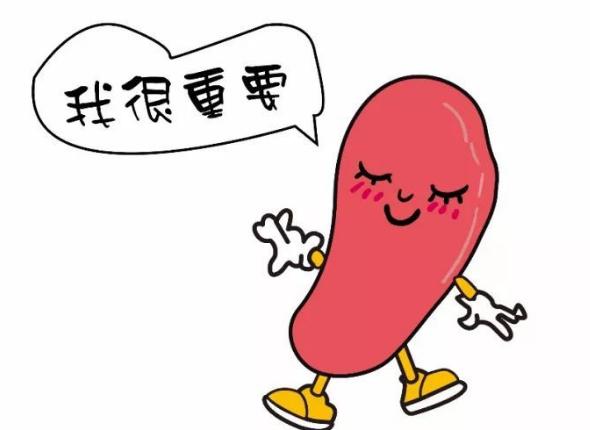 脾气虚和脾阳虚脾虚湿盛的区别,脾虚百病生脾虚有哪些表现