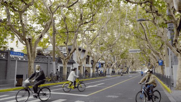 丈夫送的上亿家产，她一分不留，全捐给了故宫