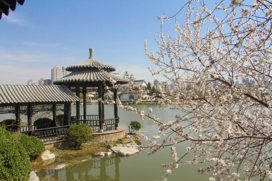 天津东疆亲海公园2022年开放吗,天津2022哪些公园恢复开放