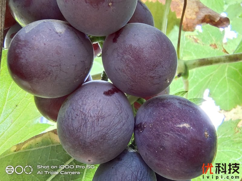 5g时代来临iqoopro5g优势很明显,iqoopro一代5g和4g有什么区别