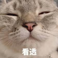 周奇张新成,张新成景甜周奇