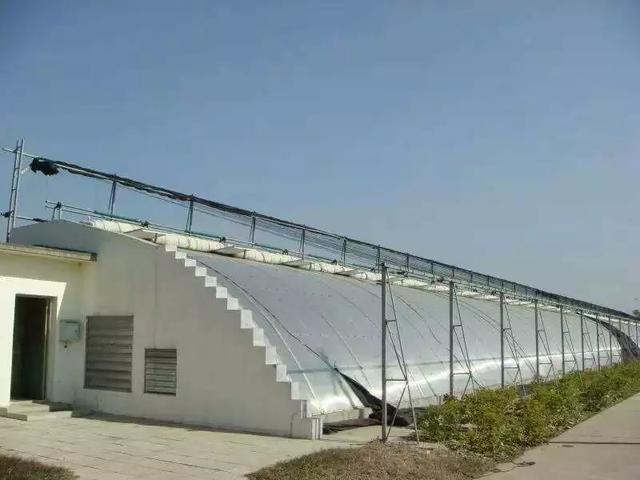 天气冷了大棚,阳光板温室大棚冬季保温