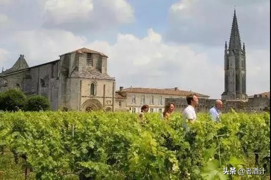 波尔多是西班牙著名的葡萄酒产区,法国葡萄酒波尔多产区