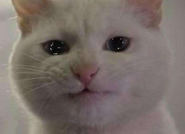 上海地铁藏高手！45岁站务员成网红