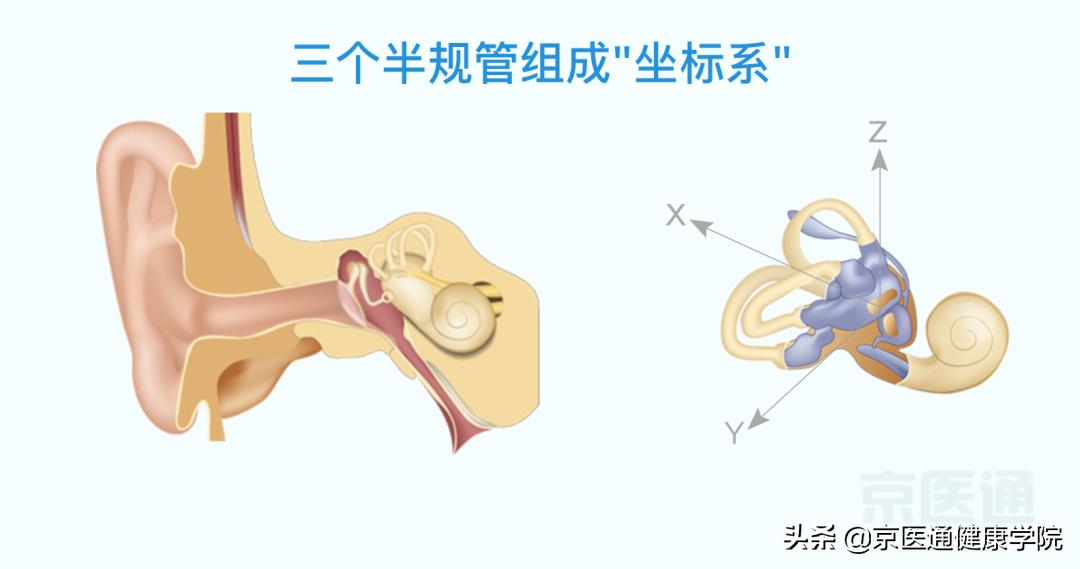 缓解晕车恶心的方法,出游晕车最好的方法
