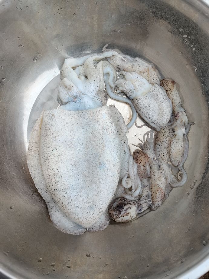 直播包网捕鱼真实性,深海包网捕鱼视频全集