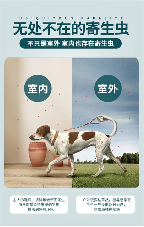 正品狗狗体外驱虫药推荐,宠物狗体外驱虫药品牌推荐图片