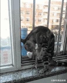 搞笑gif开心一刻原来高手在民间,搞笑gif你大爷果然还是你大爷