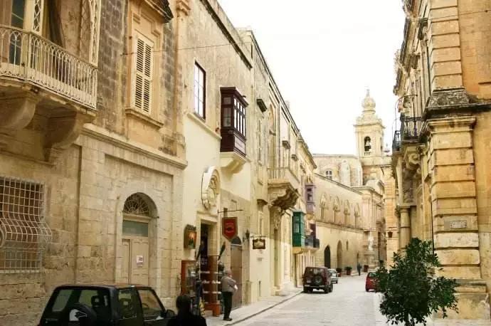 cips宠物展华元宠物用品有限公司,cips宠物展直播