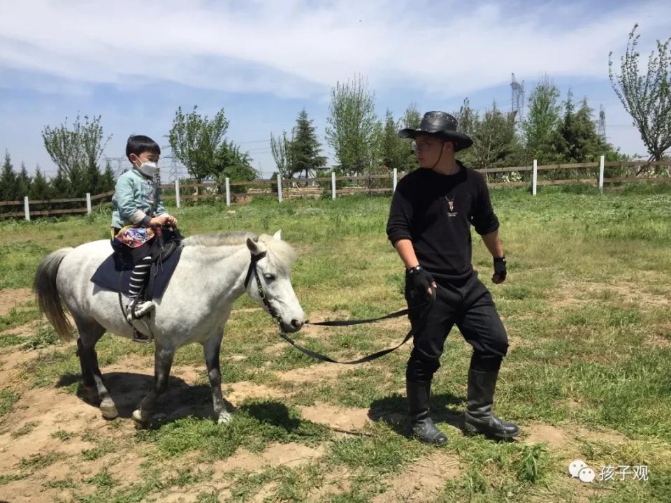 太阳葡萄小镇亲子乐园,亲子游太阳葡萄小镇